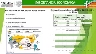 IMPORTANCIA ECONÓMICA
Los 12 socios del TPP aportan a nivel mundial:
 37% del PIB
 20% del comercio mundial
 11% de la población mundial
 28% de la captación IED.
516
558
668
226
241
246
0 100 200 300 400 500 600 700 800 900 1000
TLCAN
TPP
APEC
Comercio Exterior de México e Inversión Extranjera Directa, 2015
Miles de Millones de US Dls.
Comercio IED
Región
Comercio IED
Valor (mm
US Dls) % del total
Valor (mm
US Dls) % del total
TLCAN 516 67 226 52
TPP 558 72 241 55
APEC 668 86 246 56
México: Comercio Exterior (2015) e IED (1999-2016
1er Trim.)
 