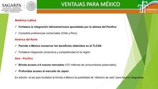 VENTAJAS PARA MÉXICO
América Latina
 Fortalece la integración latinoamericana apuntalada por la alianza del Pacífico
 Consolida preferencias comerciales (Chile y Perú)
América del Norte
 Permite a México conservar los beneficios obtenidos en el TLCAN
 Fortalece integración productiva y competitividad en la región
Asia - Pacífico
 Brinda acceso a 6 nuevos mercados (157 millones de consumidores potenciales)
 Profundiza acceso al mercado de Japón
En adición, el ser país fundador le brinda a México la posibilidad de “derecho de veto” para futuros integrantes.
 