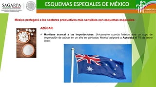 ESQUEMAS ESPECIALES DE MÉXICO
México protegerá a los sectores productivos más sensibles con esquemas especiales:
AZÚCAR
 Mantiene arancel a las importaciones. Únicamente cuando México abra un cupo de
importación de azúcar en un año en particular, México asignará a Australia el 7% de dicho
cupo.
 