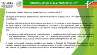 SITUACIÓN ACTUAL DE LA APROBACIÓN DEL TPP
• Actualmente, Malasia, Vietnam y Nueva Zelanda ya ratificaron el TPP
• Se espera que el Senado de la República apruebe la adición de nuestro país al TPP antes de que termine el
presente año.
• En el caso de Estados Unidos, el proceso de estudio en el Congreso se va a dar después de las elecciones.
Se espera que el presidente Obama entregue el documento a los legisladores para su discusión en
noviembre de 2016, aunque el análisis se va a dar una vez que tome posesión el próximo presidente de ese
país.
• Al respecto, cabe señalar que los dos aspirantes a la presidencia de la Unión Americana han expresado
sus reservas respecto de la aprobación del TTP, lo que hace poco probable que su ratificación se lleve a
cabo en el corto plazo, aunque tampoco quedaría desechada la propuesta del todo.
• El sector empresarial mexicano considera que aunque el Acuerdo de Asociación Transpacífico no se
concrete, se podría tomar como base para renegociar otros acuerdos, e incluso llegar a acuerdos con las 6
naciones con las que México no tiene tratados de una manera más rápida y efectiva.
 