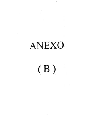 ANEXO
(B)
 