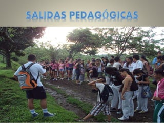 Anexo caracterización práctica i