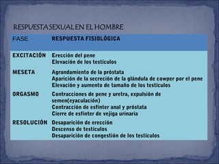 FASE RESPUESTA FISIOLÓGICA
EXCITACIÓN Erección del pene
Elevación de los testículos
MESETA Agrandamiento de la próstata
Aparición de la secreción de la glándula de cowper por el pene
Elevación y aumento de tamaño de los testículos
ORGASMO Contracciones de pene y uretra, expulsión de
semen(eyaculación)
Contracción de esfínter anal y próstata
Cierre de esfínter de vejiga urinaria
RESOLUCIÓN Desaparición de erección
Descenso de testículos
Desaparición de congestión de los testículos
 