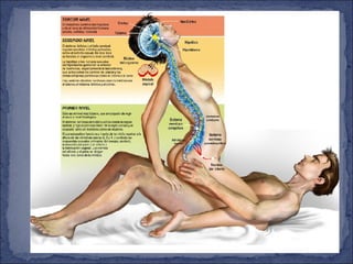 Anexo disfunciones sexuales