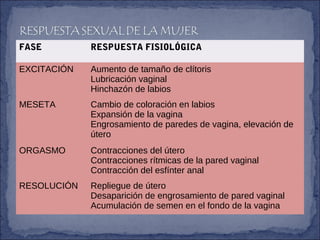 FASE RESPUESTA FISIOLÓGICA
EXCITACIÓN Aumento de tamaño de clítoris
Lubricación vaginal
Hinchazón de labios
MESETA Cambio de coloración en labios
Expansión de la vagina
Engrosamiento de paredes de vagina, elevación de
útero
ORGASMO Contracciones del útero
Contracciones rítmicas de la pared vaginal
Contracción del esfínter anal
RESOLUCIÓN Repliegue de útero
Desaparición de engrosamiento de pared vaginal
Acumulación de semen en el fondo de la vagina
 