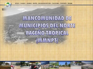APOLO – GUANAY – IXIAMAS – MAPIRI – SAN BUENAVENTURA – TACACOMA – TEOPONTE - TIPUANI
 