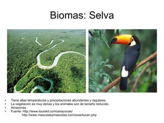 Biomas: Selva Tiene altas temperaturas y precipitaciones abundantes y regulares. La vegetación es muy densa y los animales son de tamaño reducido. Amazonas Fuente: http://www.tourskit.com/amazonas/ http://www.mascotasymascotas.com/aves/tucan.php 