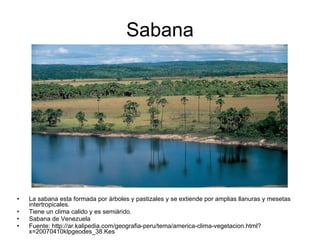 Sabana La sabana esta formada por árboles y pastizales y se extiende por amplias llanuras y mesetas intertropicales. Tiene un clima calido y es semiárido.  Sabana de Venezuela Fuente: http://ar.kalipedia.com/geografia-peru/tema/america-clima-vegetacion.html?x=20070410klpgeodes_38.Kes 