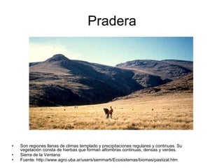 Pradera Son regiones llanas de climas templado y precipitaciones regulares y continuas. Su vegetación consta de hierbas que forman alfombras continuas, densas y verdes. Sierra de la Ventana Fuente: http://www.agro.uba.ar/users/semmarti/Ecosistemas/biomas/pastizal.htm 
