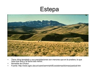 Estepa Tiene clima templado y sus precipitaciones son menores que en la pradera, lo que hace que flora y la fauna sea menor. Noroeste de Chubut Fuente: http://www.agro.uba.ar/users/semmarti/Ecosistemas/biomas/pastizal.htm 