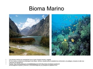 Bioma Marino Los biomas marinos se caracterizan por su gran riqueza animal y vegetal. En los mares y océanos se distinguen dos áreas: nerítica, situada sobre la plataforma continental; y la pelágica, situada en alta mar. Lagunas de Llanganuco Fuente: http://2knbio.blogspot.com/2009/03/biomas.html http://www.travelpod.com/travel-photo/pagesturning/latin_america/1155239940/lagunas_de_llanganuco.jpg/tpod.html 