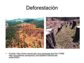Deforestación Fuente: http://www.correo-gto.com.mx/notas.asp?id=17946 http://journalmex.wordpress.com/2009/07/09/dia-del-arbol-2009/ 