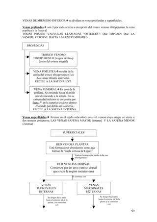 VENAS DE MIEMBRO INFERIORà se dividen en venas profundas y superficiales.

Venas profundasà son 2 por cada arteria a excepción del tronco venoso tibioperoneo, la vena
poplítea y la femoral.
TODAS POSEEN VALVULAS LLAMADAS “OSTIALES”; Que IMPIDEN Que LA
SANGRE RETORNE HACIA LAS EXTREMIDADES.

   PROFUNDAS


              TRONCO VENOSO
        TIBIOPERONEO (va por dentro y
            detrás del tronco arterial)


        VENA POPLITEAà resulta de la
        unión del tronco tibioperoneo y las
           dos venas tibiales anteriores.
         RECIBE A LA SAFENA EXT.

         VENA FEMORALà Es cont de la
         poplítea. Se extiende hasta el anillo
          crural rodeando a la arteria. En su
         extremidad inferior se encuentra por
        fuera. Y en la superior está por dentro
           cruzando por detrás de la arteria.
        RECIBE A LA SAFENA INTERNA

Venas superficialesà forman en el tejido subcutáneo una red venosa cuya sangre se vierte a
dos troncos colectores; LAS VENAS SAFENA MAYOR (interna) Y LA SAFENA MENOR
(externa)

                                        SUPERFICIALES



                             RED VENOSA PLANTAR
                       Está formada por abundantes venas que
                         forman la “suela venosa de Lejars”
                                                   Vuelcan la sangre por medio de las vns.
                                                   Interdigitales a


                            RED VENOSA DORSAL
                         Comienza por un arco venoso dorsal
                          que cruza la región metatarsiana
                                                 Se continua con



              VENAS                                             VENAS
           MARGINALES                                         MARGINALES
            INTERNAS                                           EXTERNAS
                      Se dirigen hacia atrás                                    Se dirigen hacia atrás
                    hasta el extremo inf de la                                hasta el extremo inf de la
                      pierna y se continúan                                     pierna y se continúan
                               con                                                       con


                                                                                                           99
 