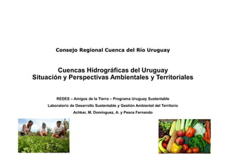 Consejo Regional Cuenca del Río Uruguay
Cuencas Hidrográficas del Uruguay
Situación y Perspectivas Ambientales y Territori...