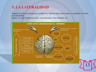 5. LA LATERALIDAD
Después de explicar, el programa, los objetivos y todas las áreas, ahora vamos a centrarnos en el área
de la lateralidad .
Vamos a ver que dominancia existe, como detectarla, como trabajarla, etc…




                                                                                                 13
 