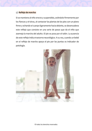 © todos los derechos reservados
5) Reflejo de marcha:
Si se mantiene al niño erecto y suspendido, asiéndolo firmemente por
los flancos y el tórax, al contactar las plantas de los pies con un plano
firme y echando el cuerpo ligeramente hacia delante, se desencadena
este reflejo que consiste en una serie de pasos que da el niño que
asemeja la marcha del adulto. El pie se posa por el talón. La ausencia
de este reflejo indica trastorno neurológico. A su vez, cuando un bebé
en el reflejo de marcha apoya el pie por las puntas es indicador de
patología.
 