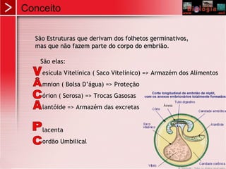 Conceito
São Estruturas que derivam dos folhetos germinativos,São Estruturas que derivam dos folhetos germinativos,
mas que não fazem parte do corpo do embriãomas que não fazem parte do corpo do embrião.
São elas:
esícula Vitelínica ( Saco Vitelínico) => Armazém dos Alimentos
mnion ( Bolsa D’água) => Proteção
órion ( Serosa) => Trocas Gasosas
lantóide => Armazém das excretas
lacenta
ordão Umbilical
 