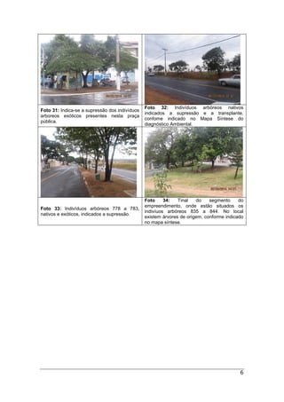 6
Foto 31: Indica-se a supressão dos indivíduos
arboreos exóticos presentes nesta praça
pública.
Foto 32: Indivíduos arbóreos nativos
indicados a supressão e a transplante,
confome indicado no Mapa Síntese do
diagnóstico Ambiental.
Foto 33: Indivíduos arbóreos 778 a 783,
nativos e exóticos, indicados a supressão.
Foto 34: Tinal do segmento do
empreendimento, onde estão situados os
indivíuos arbóreos 835 a 844. No local
existem árvores de origem, conforme indicado
no mapa síntese.
 