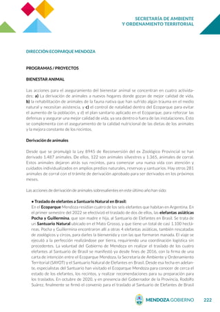 SECRETARÍA DE AMBIENTE
Y ORDENAMIENTO TERRITORIAL
222
DIRECCIÓN ECOPARQUE MENDOZA
PROGRAMAS / PROYECTOS
BIENESTAR ANIMAL
Las acciones para el aseguramiento del bienestar animal se concentran en cuatro activida-
des: a) La derivación de animales a nuevos hogares donde gozan de mejor calidad de vida,
b) la rehabilitación de animales de la fauna nativa que han sufrido algún trauma en el medio
natural y necesitan asistencia, y c) el control de natalidad dentro del Ecoparque para evitar
el aumento de la población, y d) el plan sanitario aplicado en el Ecoparque, para reforzar las
defensas y asegurar una mejor calidad de vida, ya sea dentro o fuera de las instalaciones. Esto
se complementa con el aseguramiento de la calidad nutricional de las dietas de los animales
y la mejora constante de los recintos.
Derivación de animales
Desde que se promulgó la Ley 8945 de Reconversión del ex Zoológico Provincial se han
derivado 1.487 animales. De ellos, 122 son animales silvestres y 1.365, animales de corral.
Estos animales dejaron atrás sus recintos, para comenzar una nueva vida con atención y
cuidados individualizados en amplios predios naturales, reservas y santuarios. Hay otros 281
animales de corral con el trámite de derivación aprobado para ser derivados en los próximos
meses.
Las acciones de derivación de animales sobresalientes en este último año han sido:
• Traslado de elefantes a Santuario Natural en Brasil:
En el Ecoparque Mendoza residían cuatro de los seis elefantes que habitan en Argentina. En
el primer semestre del 2022 se efectivizó el traslado de dos de ellos, las elefantas asiáticas
Pocha y Guillermina, que son madre e hija, al Santuario de Elefantes en Brasil. Se trata de
un Santuario Natural ubicado en el Mato Grosso, y que tiene un total de casi 1.100 hectá-
reas. Pocha y Guillermina encontraron allí a otras 4 elefantas asiáticas, también rescatadas
de zoológicos y circos, para darles la bienvenida y con las que formaron manada. El viaje se
ejecutó a la perfección realizándose por tierra, requiriendo una coordinación logística sin
precedentes. La voluntad del Gobierno de Mendoza en realizar el traslado de los cuatro
elefantes al Santuario de Brasil se manifestó ya desde fines de 2016, con la firma de una
carta de intención entre el Ecoparque Mendoza, la Secretaría de Ambiente y Ordenamiento
Territorial (SAYOT) y el Santuario Natural de Elefantes en Brasil. Desde esa fecha en adelan-
te, especialistas del Santuario han visitado el Ecoparque Mendoza para conocer de cerca el
estado de los elefantes, los recintos, y realizar recomendaciones para su preparación para
los traslados. En octubre de 2020, y en presencia del Gobernador de la Provincia, Rodolfo
Suárez, finalmente se firmó el convenio para el traslado al Santuario de Elefantes de Brasil
 