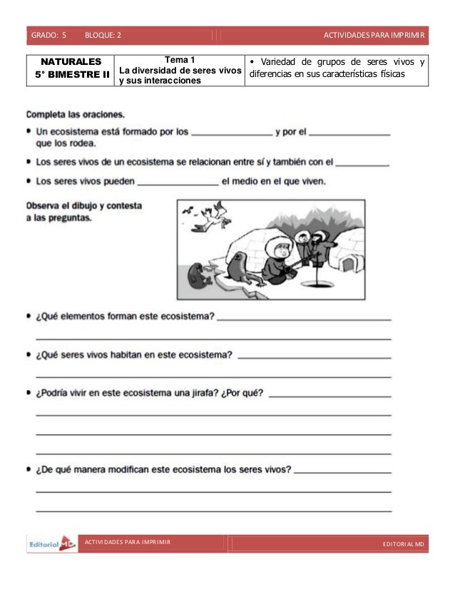 Actividades De Quimica Para Quinto Grado De Primaria Actividades 2021