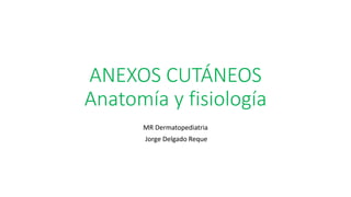 ANEXOS CUTÁNEOS
Anatomía y fisiología
MR Dermatopediatria
Jorge Delgado Reque
 