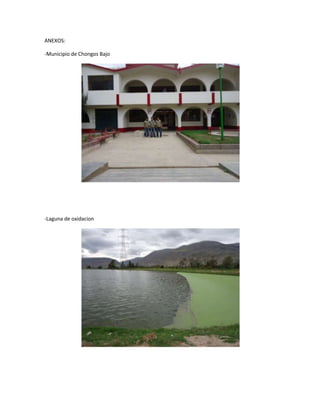 ANEXOS:

-Municipio de Chongos Bajo




-Laguna de oxidacion
 