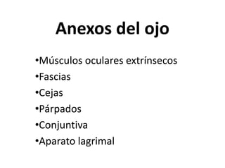 Anexos del ojo
•Músculos oculares extrínsecos
•Fascias
•Cejas
•Párpados
•Conjuntiva
•Aparato lagrimal
 