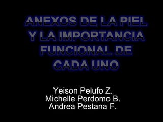 Yeison Pelufo Z.
Michelle Perdomo B.
Andrea Pestana F.
 