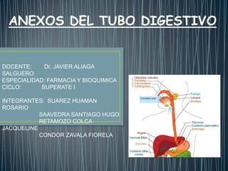 ANEXOS DEL TUBO DIGESTIVO

DOCENTE:
Dr. JAVIER ALIAGA
SALGUERO
ESPECIALIDAD: FARMACIA Y BIOQUIMICA
CICLO:
SUPERATE I
INTEGRANTES: SUAREZ HUAMAN
ROSARIO
SAAVEDRA SANTIAGO HUGO
RETAMOZO COLCA
JACQUELINE
CONDOR ZAVALA FIORELA

 