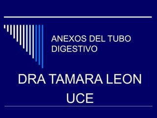 ANEXOS DEL TUBO
DIGESTIVO
DRA TAMARA LEON
UCE
 
