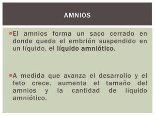 AMNIOS
El amnios forma un saco cerrado en
donde queda el embrión suspendido en
un líquido, el líquido amniótico.

A medida que avanza el desarrollo y el
feto crece, aumenta el tamaño del
amnios y la cantidad de líquido
amniótico.

 