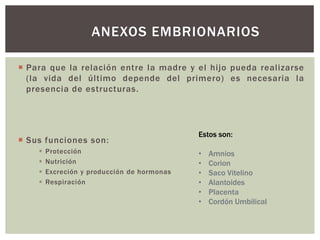 ANEXOS EMBRIONARIOS
 Para que la relación entre la madre y el hijo pueda realizarse
(la vida del último depende del primero) es necesaria la
presencia de estructuras.

 Sus funciones son:





Protección
Nutrición
Excreción y producción de hormonas
Respiración

Estos son:

•
•
•
•
•
•

Amnios
Corion
Saco Vitelino
Alantoides
Placenta
Cordón Umbilical

 