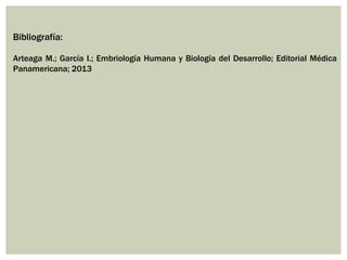 Bibliografía:
Arteaga M.; García I.; Embriología Humana y Biología del Desarrollo; Editorial Médica
Panamericana; 2013

 