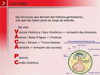Conceito
São Estruturas que derivam dos folhetos germinativos,
São Estruturas que derivam dos folhetos germinativos,
mas que não fazem parte do corpo do embrião
mas que não fazem parte do corpo do embrião.
São elas:
esícula Vitelínica ( Saco Vitelínico) => Armazém dos Alimentos
mnion ( Bolsa D’água) => Proteção
órion ( Serosa) => Trocas Gasosas
lantóide => Armazém das excretas
lacenta
ordão Umbilical
 