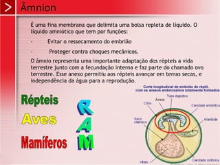 Âmnion
É uma fina membrana que delimita uma bolsa repleta de líquido. O
líquido amniótico que tem por funções:
· Evitar o ressecamento do embrião
· Proteger contra choques mecânicos.
O âmnio representa uma importante adaptação dos répteis a vida
terrestre junto com a fecundação interna e faz parte do chamado ovo
terrestre. Esse anexo permitiu aos répteis avançar em terras secas, e
independência da água para a reprodução.
 