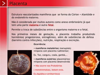 Placenta
Estrutura vascularizados mamíferos que se forma do Córion + Alantóide e
do endométrio materno.
Não é considerada por muitos autores como anexo embrionário já que
tem uma parte materna
materna e outra fetal
fetal.
Permite a troca de substâncias entre o organismo materno e o fetal.
Nos primeiros meses de gestação, a placenta trabalha produzindo
hormônios( progesterona, estrogênios), além de substâncias de defesa
(barreira contra infecções), nutrição, respiração e excreção.
Ocorrência:
• mamíferos metatérios( marsupiais)
vivíparos com placenta rudimentar;
Ex. Taz, canguru, coala, gambá,..
• mamíferos eutérios( placentários)
vivíparos com placenta desenvolvida
• Não ocorre nos Prototérios
( monotrematas), botam ovos.
Ex.équidna e ornitorrinco)
 