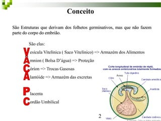 Conceito
São Estruturas que derivam dos folhetos germinativos, mas que não fazem
parte do corpo do embrião.
São elas:
esícula Vitelínica ( Saco Vitelínico) => Armazém dos Alimentos
mnion ( Bolsa D’água) => Proteção
órion => Trocas Gasosas
lantóide => Armazém das excretas
lacenta
ordão Umbilical
2
 