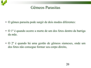Gêmeos Parasitas
• O gêmeo parasita pode surgir de dois modos diferentes:
• O 1º é quando ocorre a morte de um dos fetos dentro da barriga
da mãe.
• O 2º é quando há uma gestão de gêmeos siameses, onde um
dos fetos não consegue formar seu corpo direito,
20
 