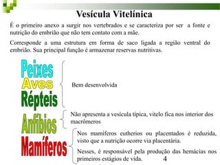 Vesícula Vitelínica
É o primeiro anexo a surgir nos vertebrados e se caracteriza por ser a fonte e
nutrição do embrião que não tem contato com a mãe.
Corresponde a uma estrutura em forma de saco ligada a região ventral do
embrião. Sua principal função é armazenar reservas nutritivas.
Bem desenvolvida
Não apresenta a vesícula típica, vitelo fica nos interior dos
macrômeros
Nos mamíferos eutherios ou placentados é reduzida,
visto que a nutrição ocorre via placentária.
Nesses, é responsável pela produção das hemácias nos
primeiros estágios de vida. 4
 