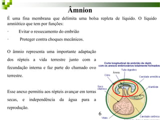 Âmnion
É uma fina membrana que delimita uma bolsa repleta de líquido. O líquido
amniótico que tem por funções:
· Evitar o ressecamento do embrião
· Proteger contra choques mecânicos.
6
O âmnio representa uma importante adaptação
dos répteis a vida terrestre junto com a
fecundação interna e faz parte do chamado ovo
terrestre.
Esse anexo permitiu aos répteis avançar em terras
secas, e independência da água para a
reprodução.
 