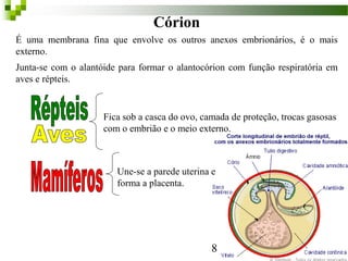 Córion
É uma membrana fina que envolve os outros anexos embrionários, é o mais
externo.
Junta-se com o alantóide para formar o alantocórion com função respiratória em
aves e répteis.
Fica sob a casca do ovo, camada de proteção, trocas gasosas
com o embrião e o meio externo.
Une-se a parede uterina e
forma a placenta.
8
 