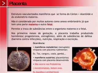 Placenta Estrutura vascularizados mamíferos que  se forma do Córion + Alantóide e do endométrio materno. Não é considerada por muitos autores como anexo embrionário já que tem uma parte  materna  e outra  fetal . Permite a troca de substâncias entre o organismo materno e o fetal. Nos primeiros meses de gestação, a placenta trabalha produzindo hormônios( progesterona, estrogênios), além de substâncias de defesa  (barreira contra infecções), nutrição, respiração e excreção.  Ocorrência: mamíferos metatérios ( marsupiais) vivíparos com placenta rudimentar; Ex. Taz, canguru, coala, gambá,.. mamíferos eutérios ( placentários) vivíparos com placenta desenvolvida Não ocorre nos Prototérios  ( monotrematas), botam ovos. Ex.équidna e ornitorrinco) 