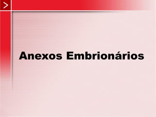 Anexos Embrionários 