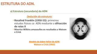 Rosalind Franklin (1950-53): primeiros
estudos físicos co ADN mediante a difracción
de raios X
 Maurice Wilkins amosoulles os resultados a Watson
e Crick
a) Estrutura (secundaria) do ADN
 