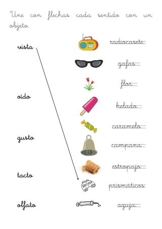 Une con flechas cada sentido con un
objeto.
                        radiocasete
 vista
                          gafas

                           flor
 oído
                          helado

                         caramelo
 gusto
                         campana

                         estropajo
 tacto
                        prismáticos

 olfato                   aguja
 