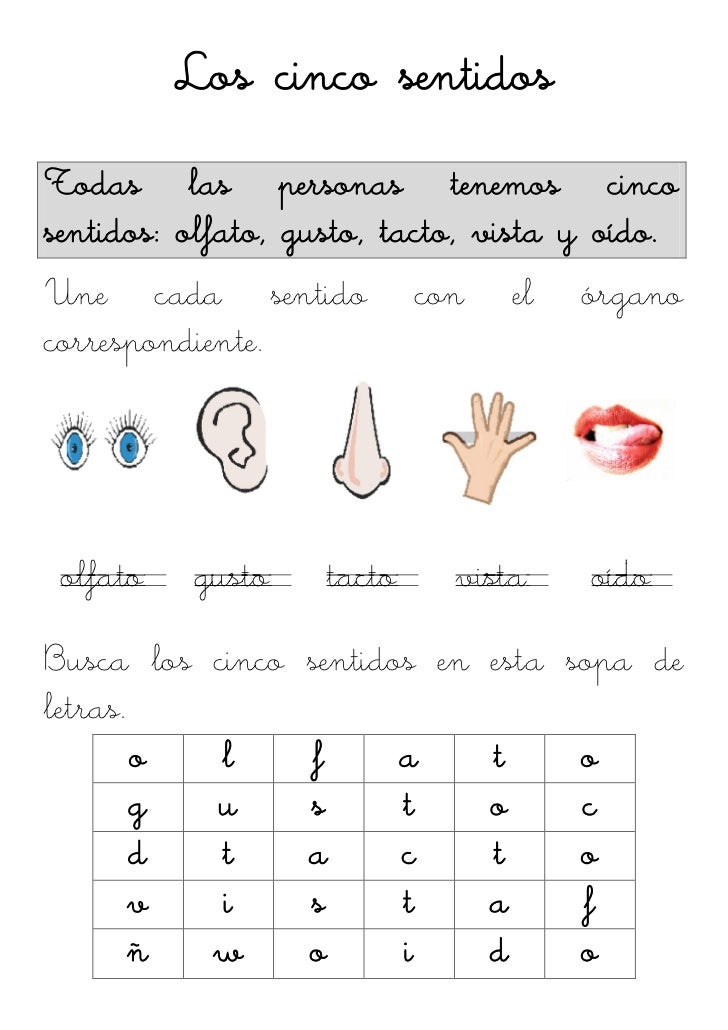 Anexo Vii