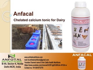 Anfacal
Chelated calcium tonic for Dairy
 