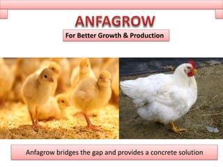 Anfagrow bridges the gap and provides a concrete solution
For Better Growth & Production
 