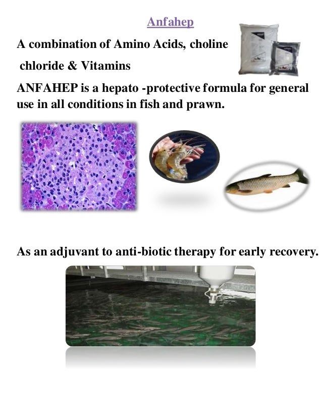 Aquaculture feed supplements