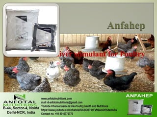 Liver stimulant for Poultry
 